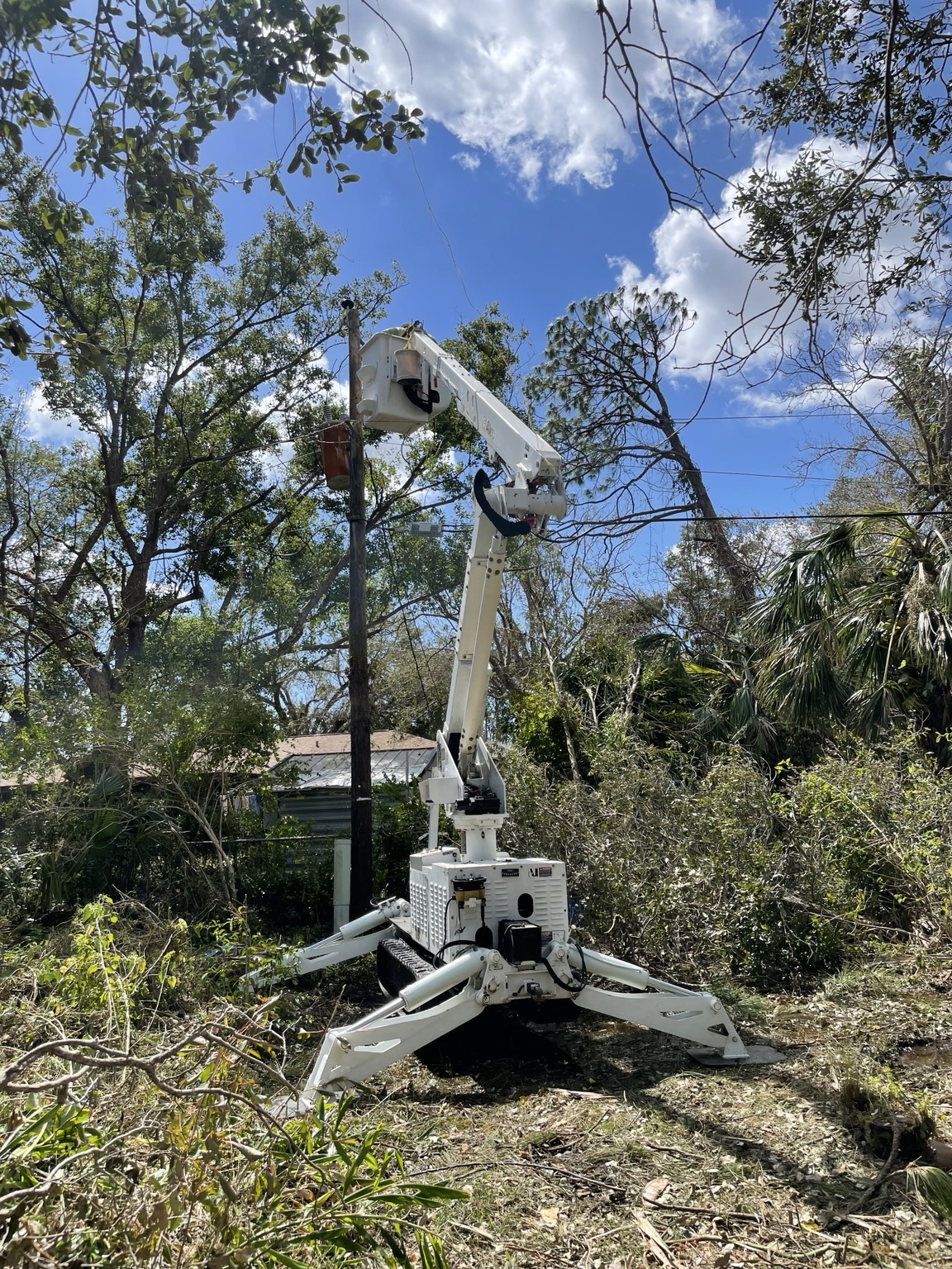 Parkman bucket equipment working on tree removal