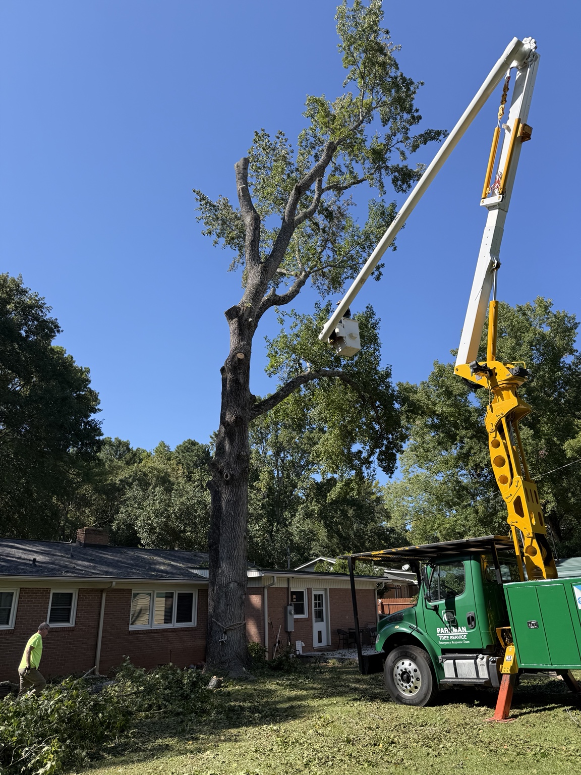 Parkman crane crew working on a tree removal