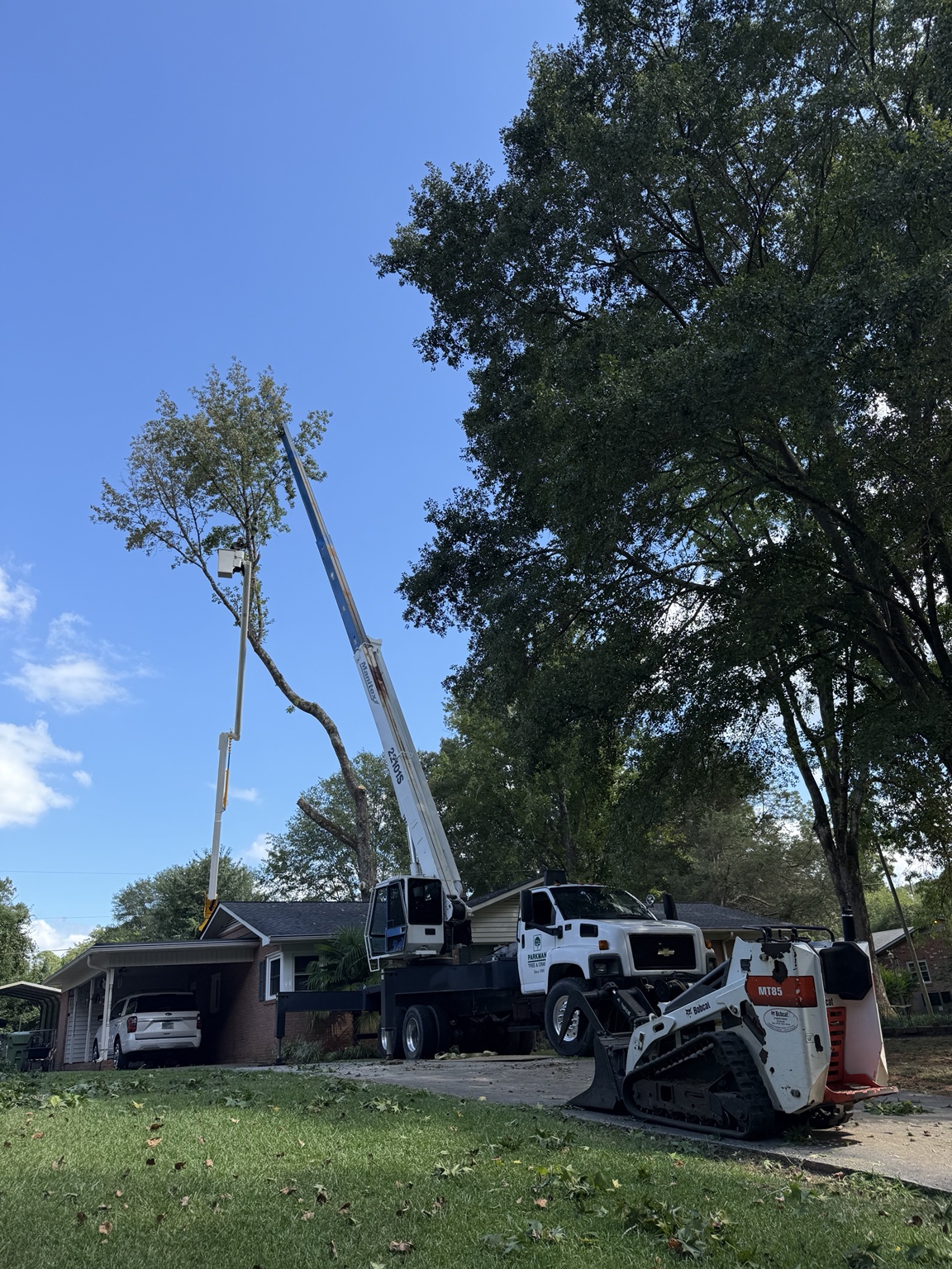 Parkman crane and bucket crew performing tree removal