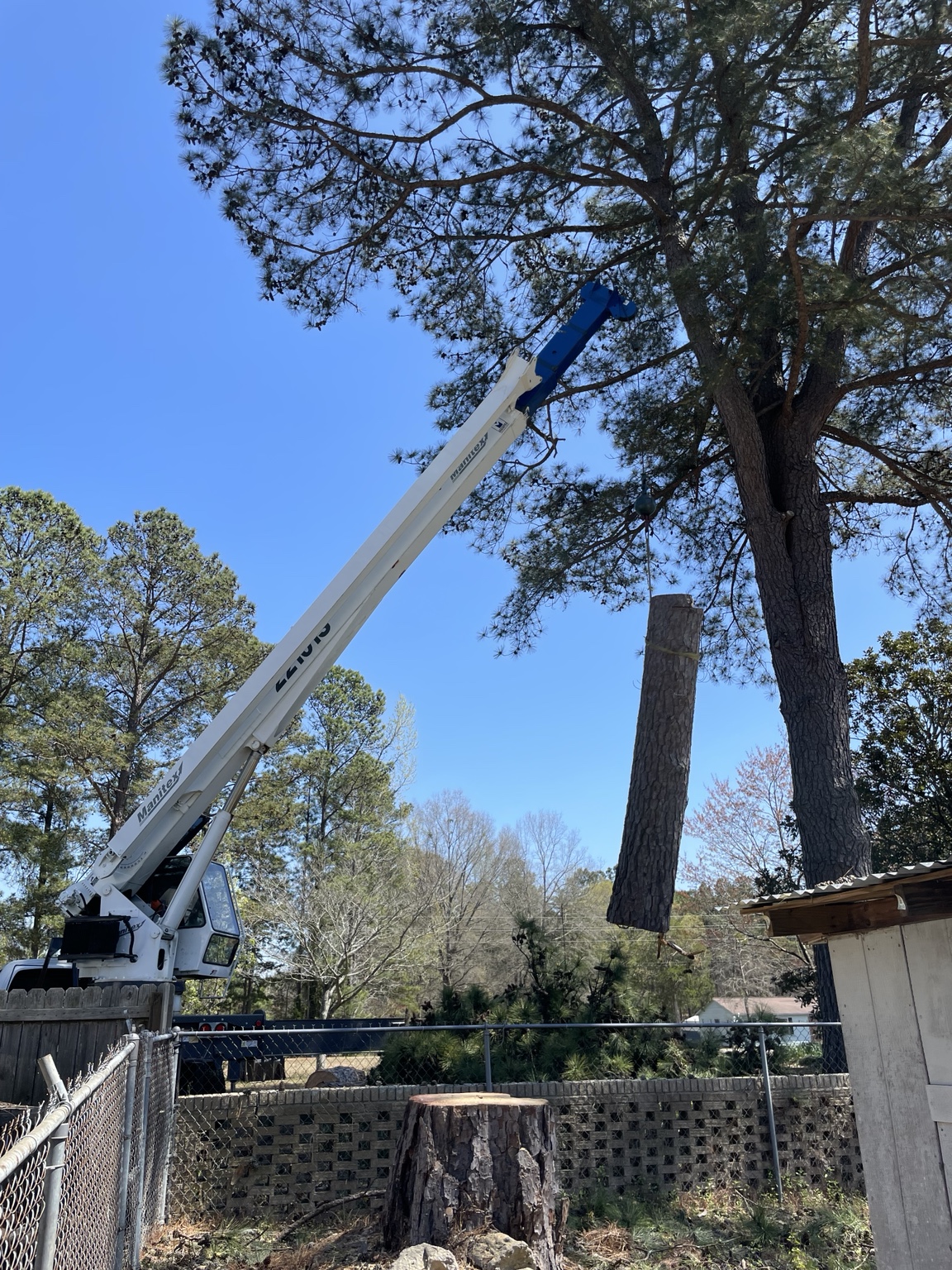 Parkman crane rigging and lifting a large tree section