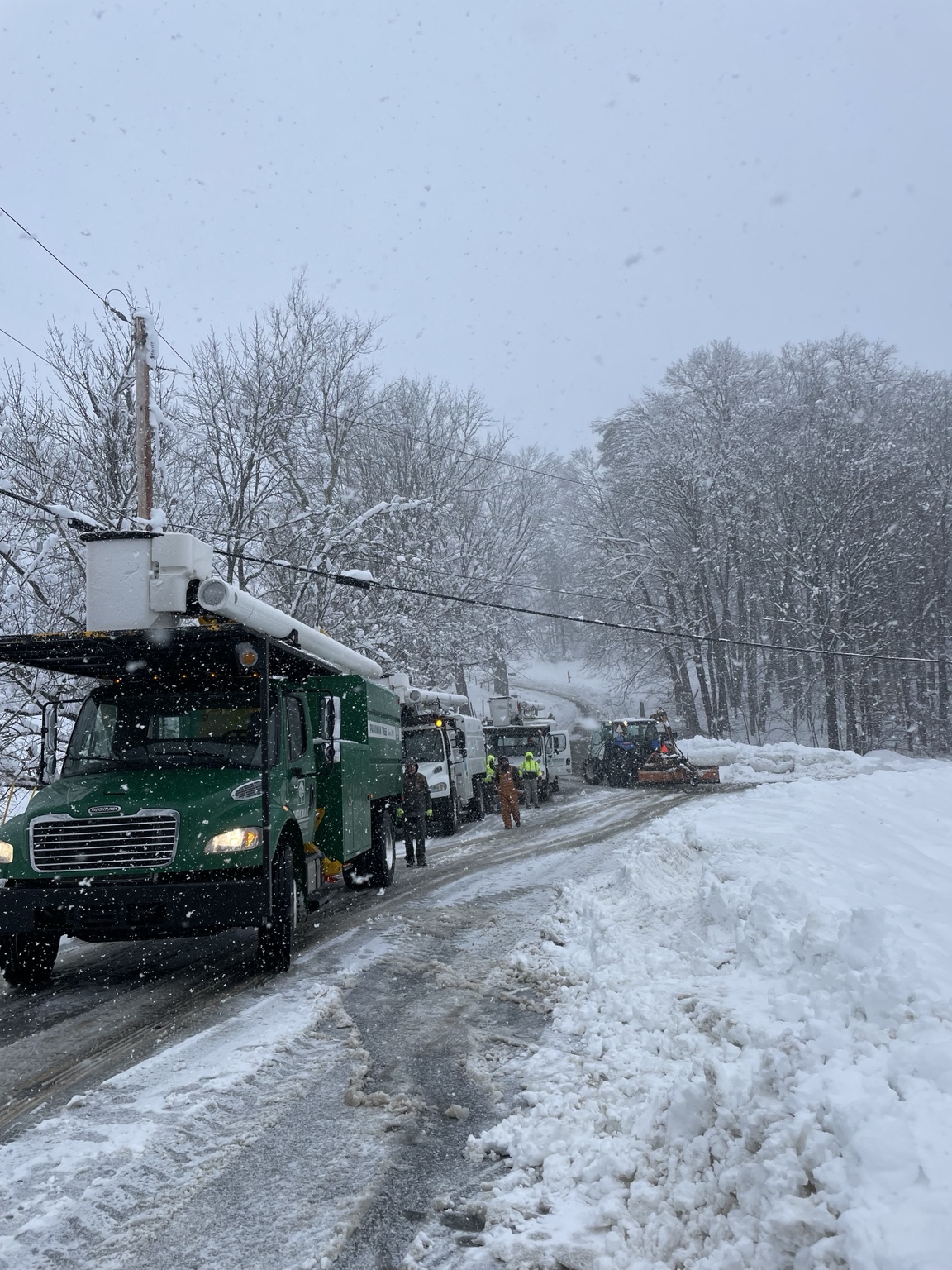 Parkman Tree Service storm response